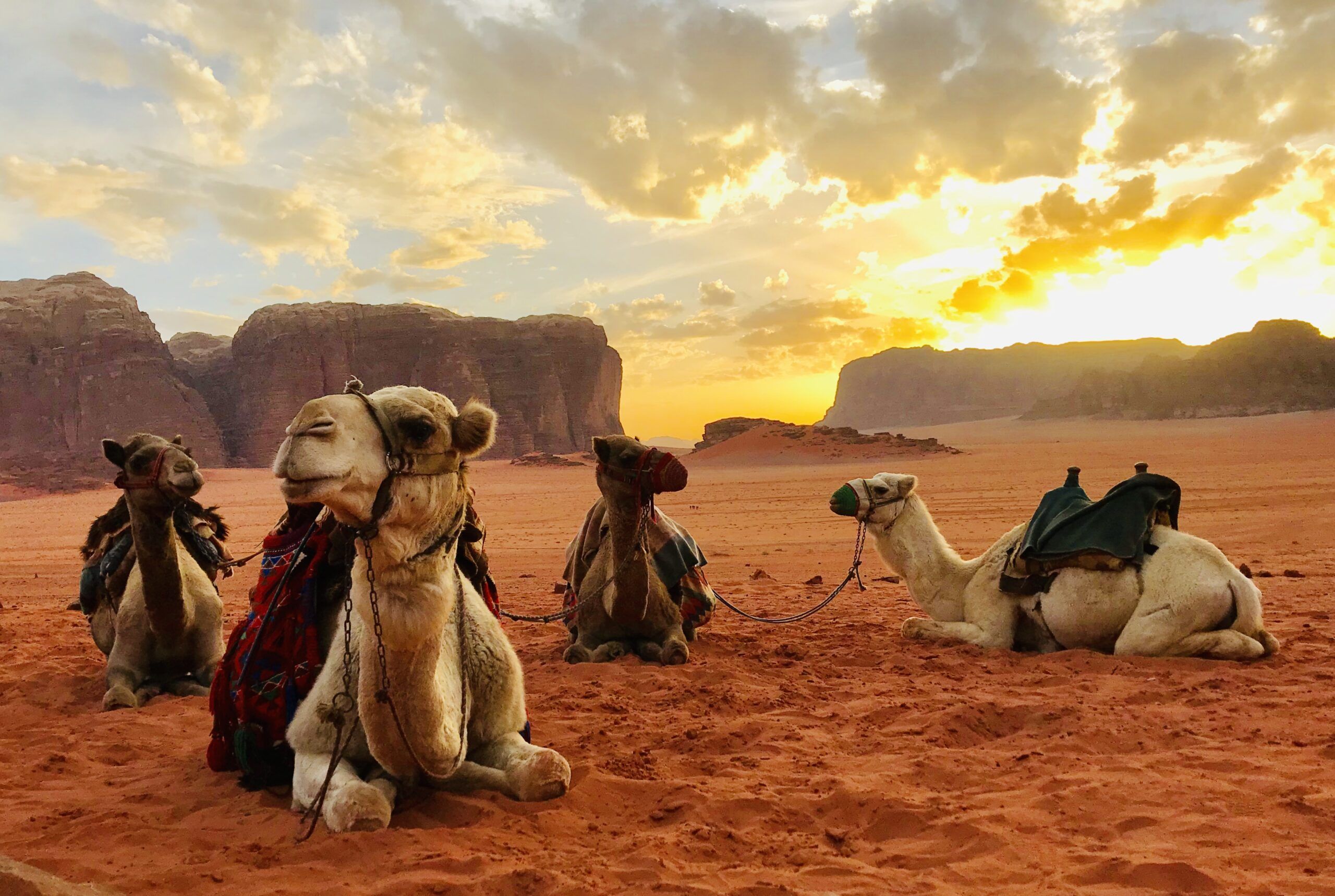 jordania 2