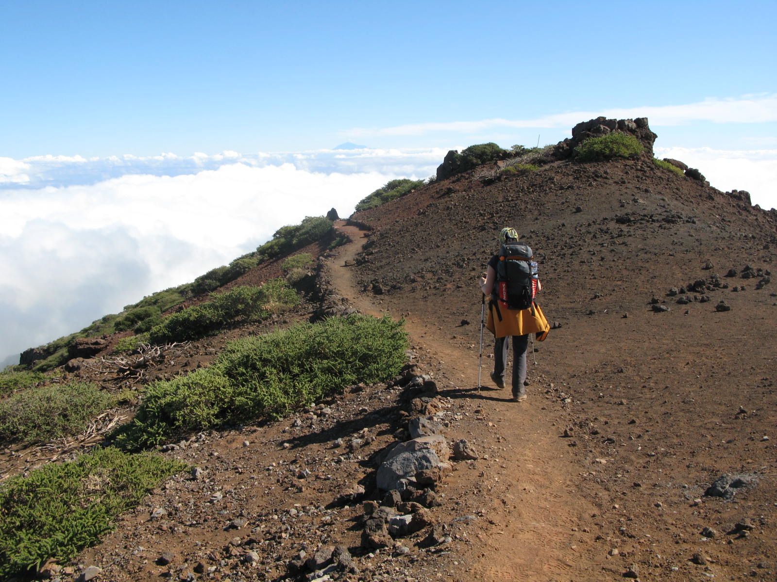 LA PALMA