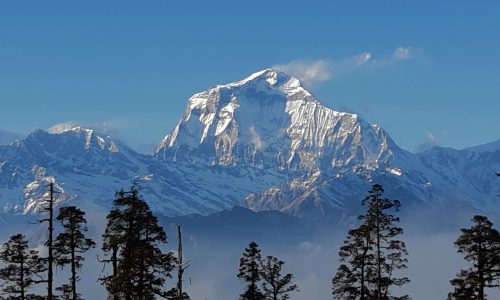 038 Dhaulagiri