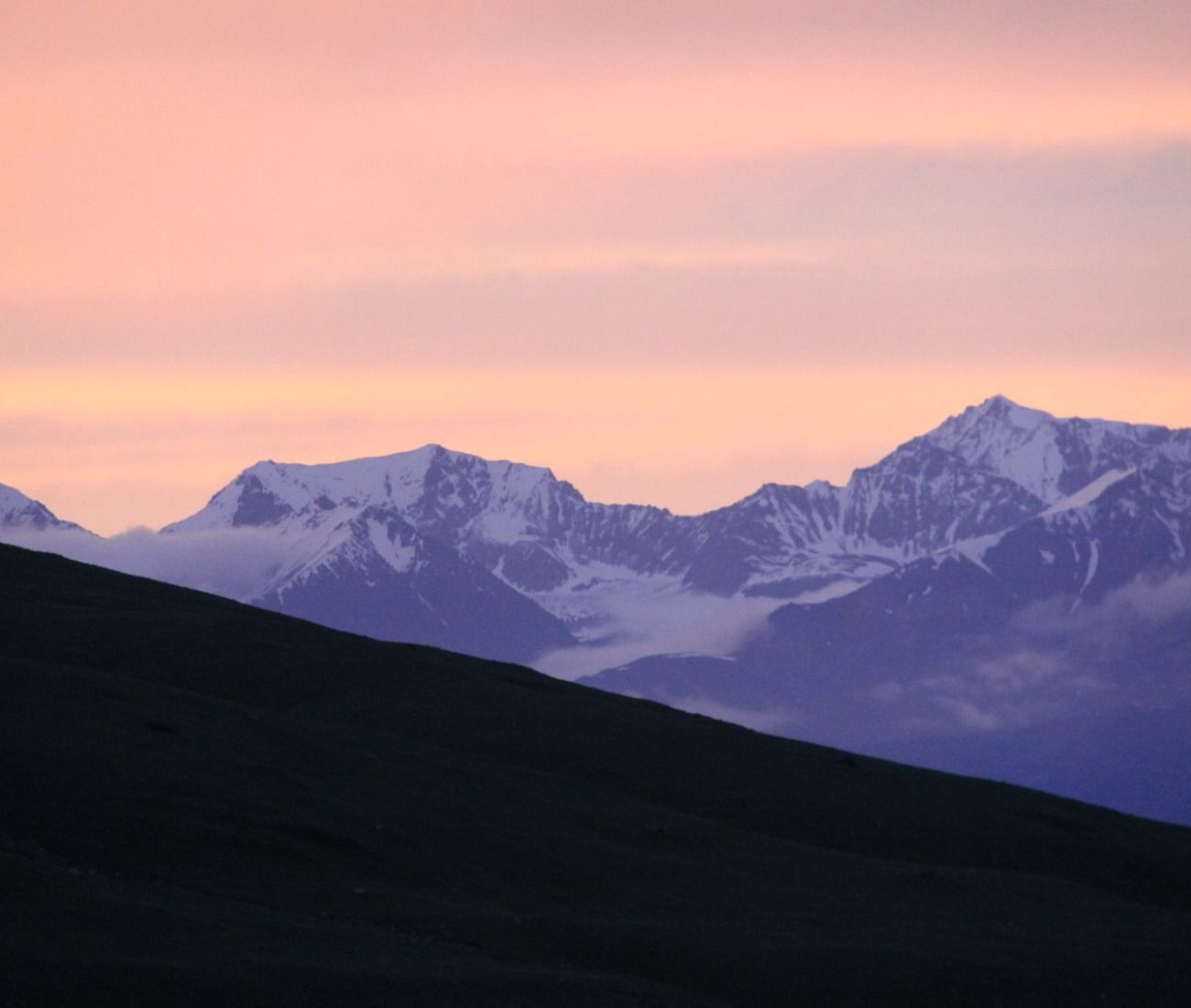 WhatsApp Image 2024-01-12 at 15.46.02 (2)